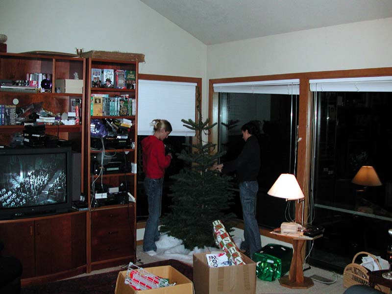 Stacie decorating tree.jpg 66.5K